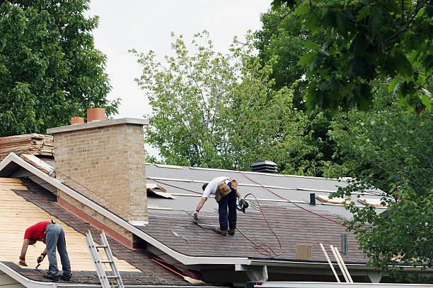 Best Storm Damage Roof Repair  in Edgewood, KY